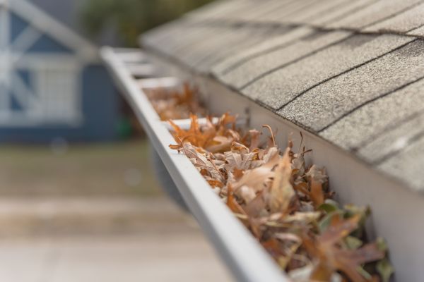 Leaf Barrier Installation in Schenectady
